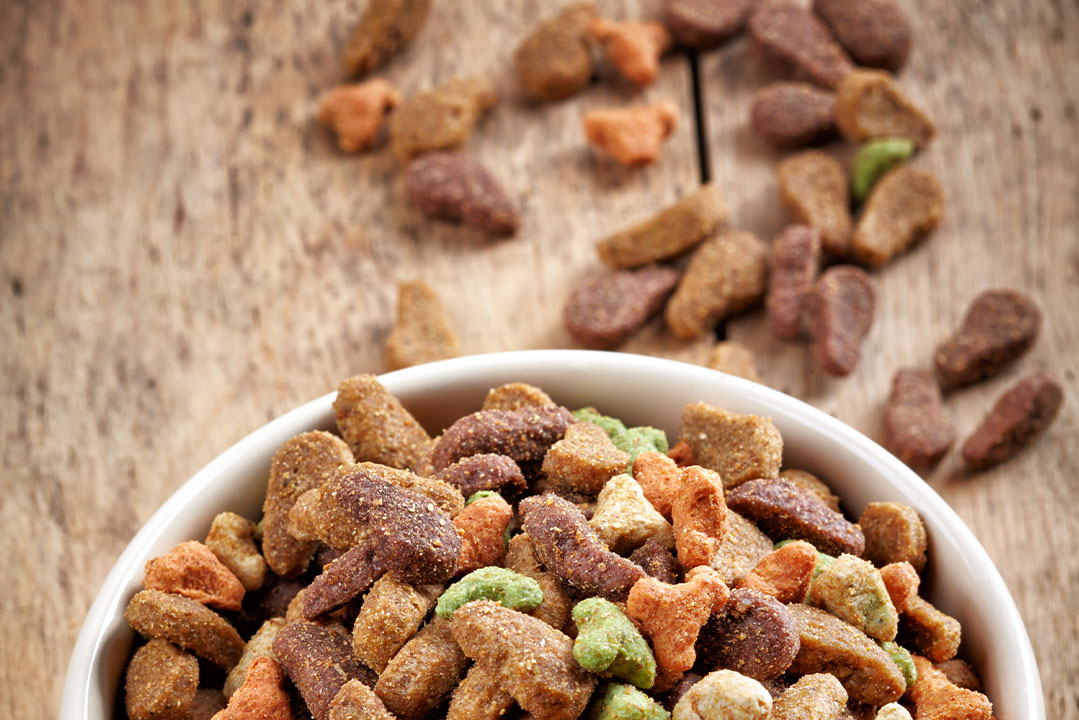 PET FOOD gallery 2
