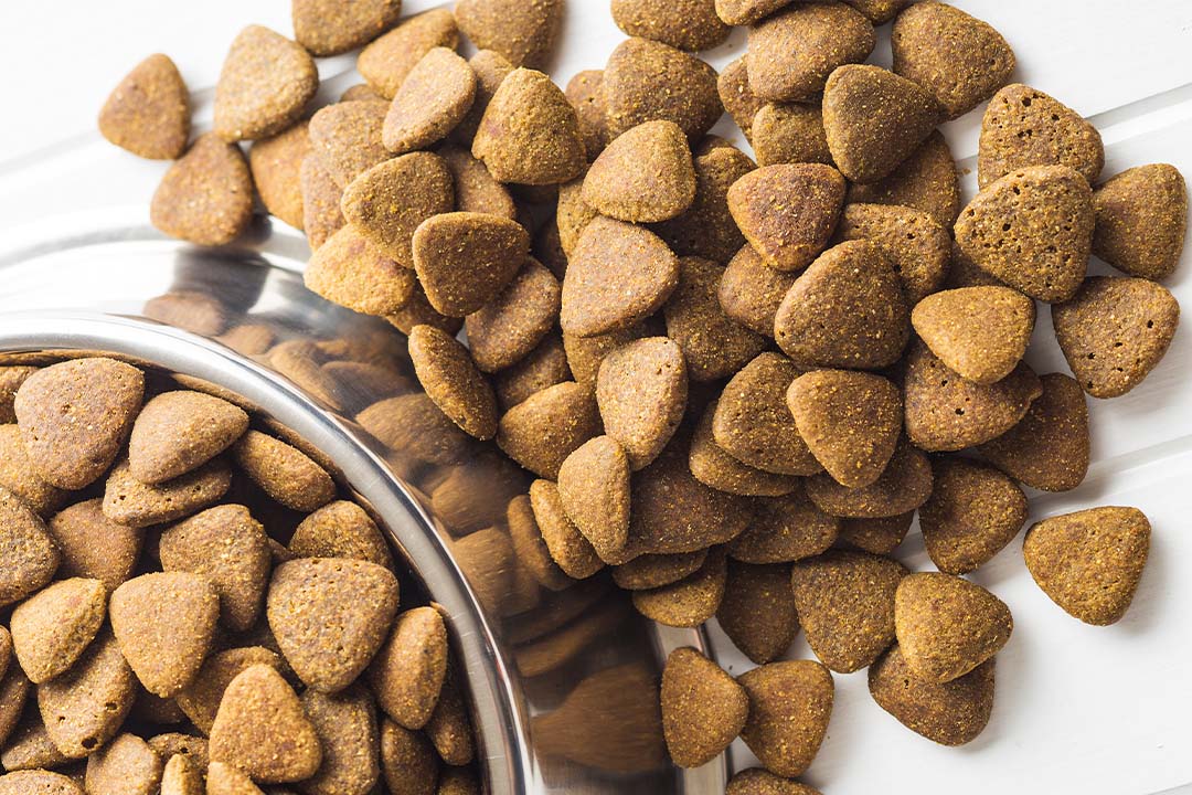 PET FOOD
