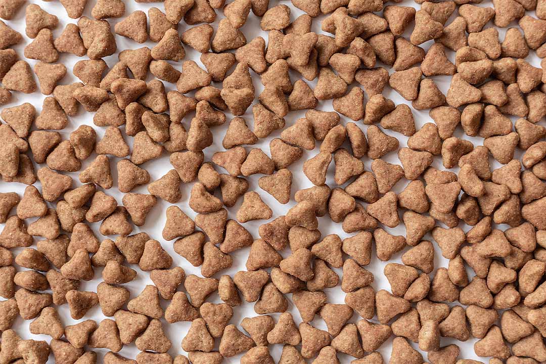 PET FOOD gallery 1