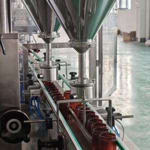 Automatic Dual-Lane 2-Head Powder Filling Machine