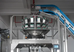 LKV-520A Frozen Food Fresh Food Inclined Packaging Machine
