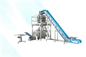 LKV-520A Frozen Food Fresh Food Inclined Packaging Machine