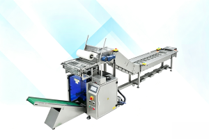 Semi-Auto Feeding&Packaging Machine